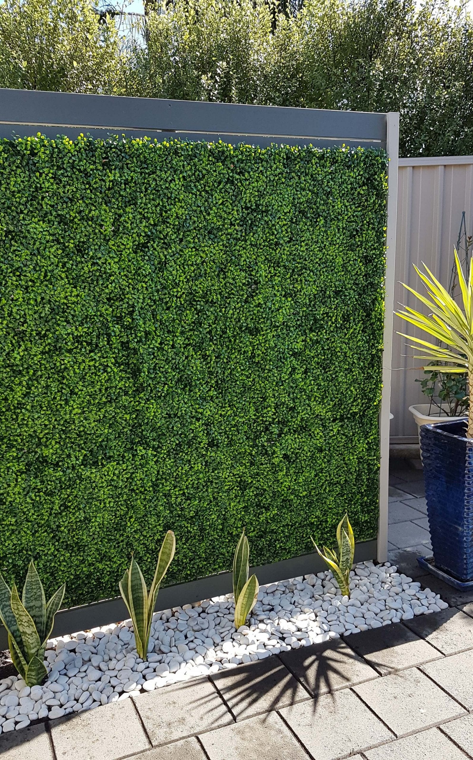 Mixed Boxwood Hedge Panels / Screens UV Resistant 1m X 1m - Image 4