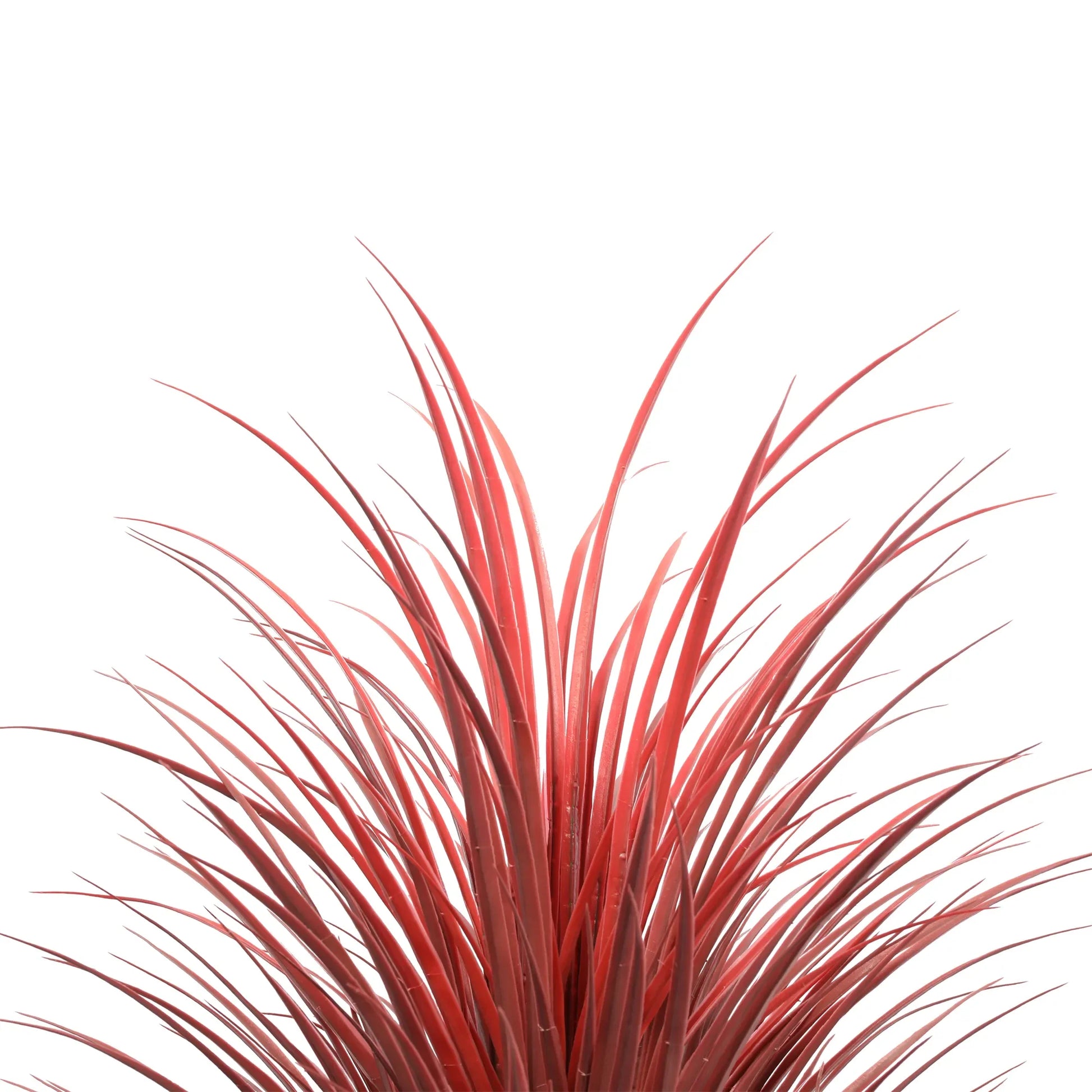 Burgundy Potted Artificial Long Grass (Yucca Grass) 115cm UV Resistant - Image 3