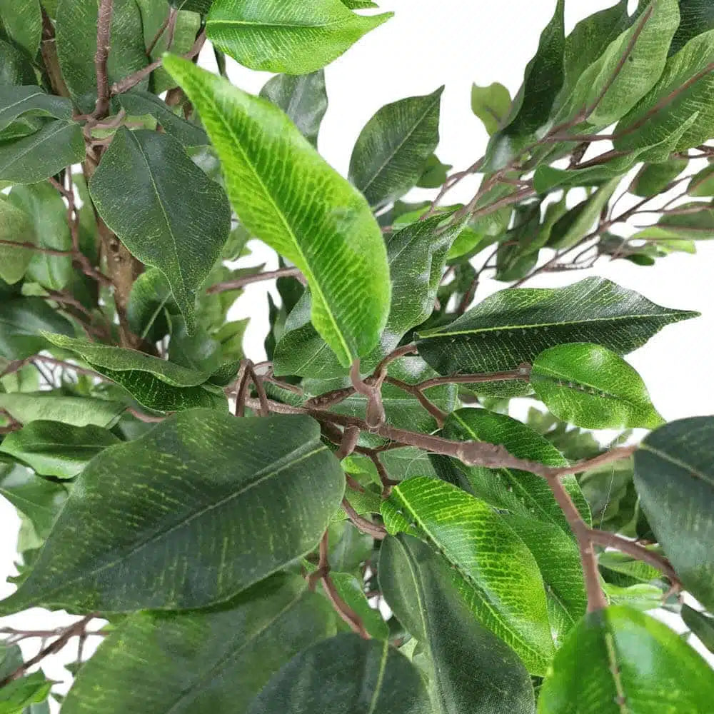Artificial Potted Ficus Tree 160cm - Image 3
