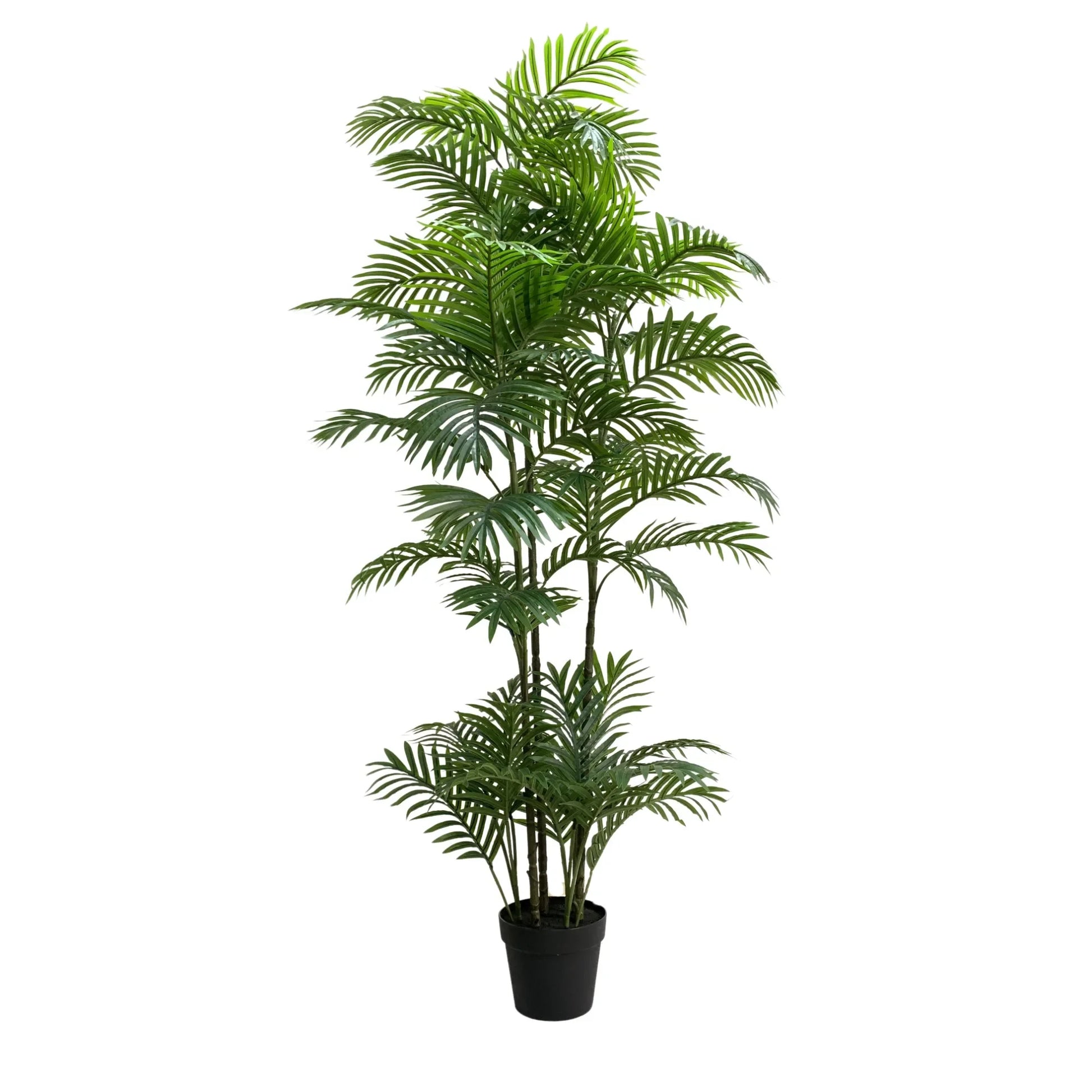 Premium Artificial Potted Multi-trunk Fan Palm 180cm - Image 2