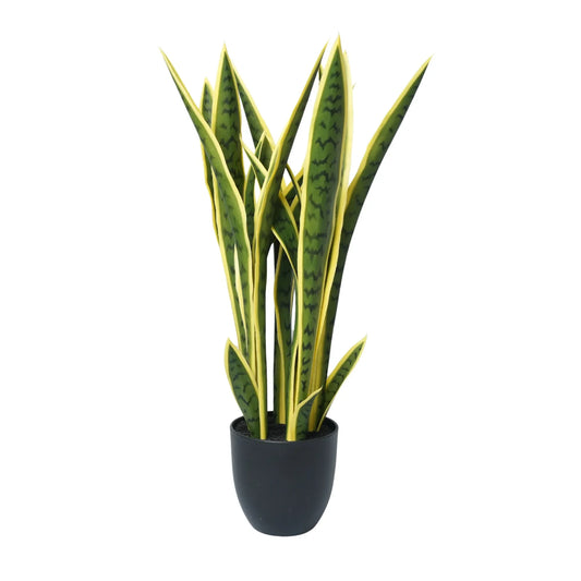 Artificial Mother in Law Tongue / Yellow Tongue Sansevieria UV Resistant 60cm - Image 2