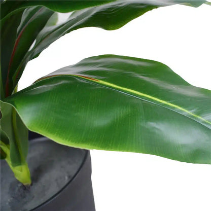 Artificial Potted Wide Leaf Birds Nest Fern 50cm - Image 3