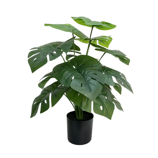 Artificial Potted Split Philodendron (Monstera) 50cm - Image 2