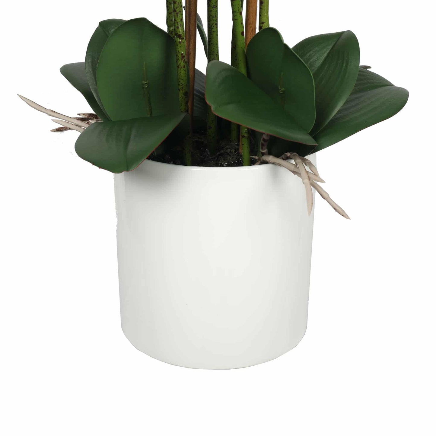 Large Multi-Stem White Potted Faux Orchid 65cm - Image 3