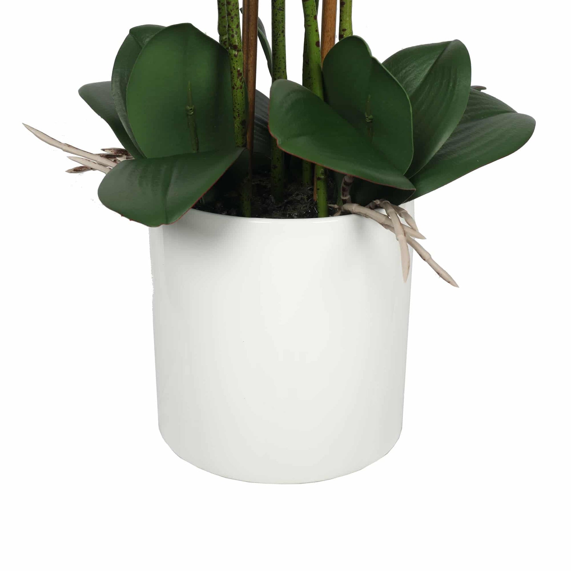 Large Multi-Stem White Potted Faux Orchid 65cm - Image 3