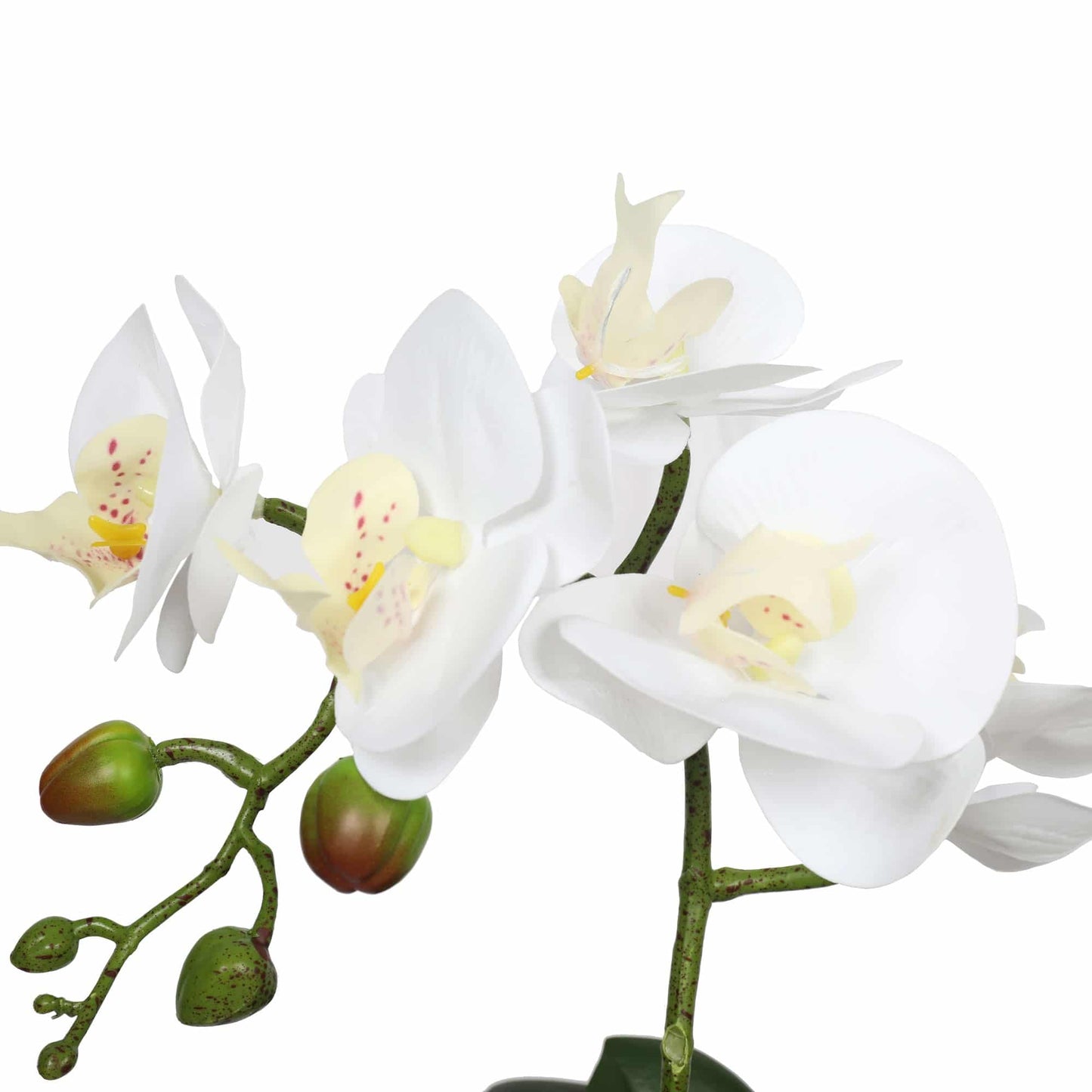 Potted Single Stem White Phalaenopsis Orchid with Decorative Pot 35cm - Image 3
