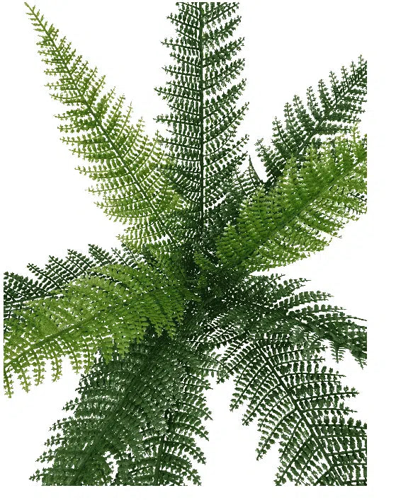 Dense Fern Stem 45cm - Image 3