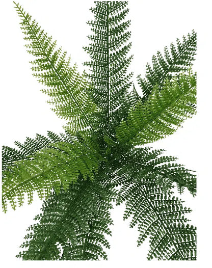 Dense Fern Stem 45cm - Image 3