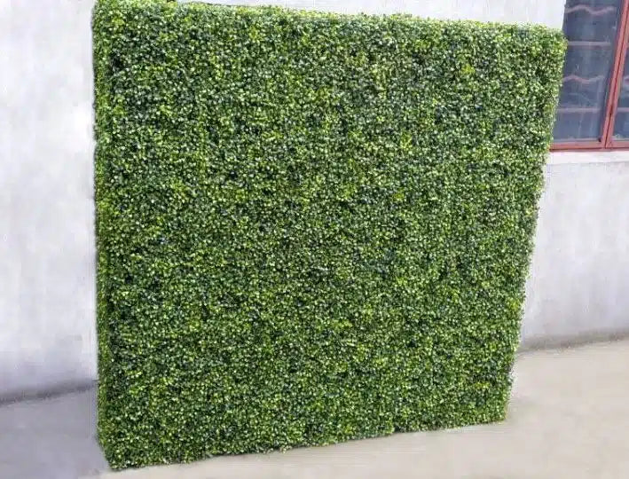 Large Portable Mixed Boxwood Hedge 1.5m by 1.5m UV Resistant - Image 4
