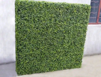 Large Portable Mixed Boxwood Hedge 1.5m by 1.5m UV Resistant - Image 4