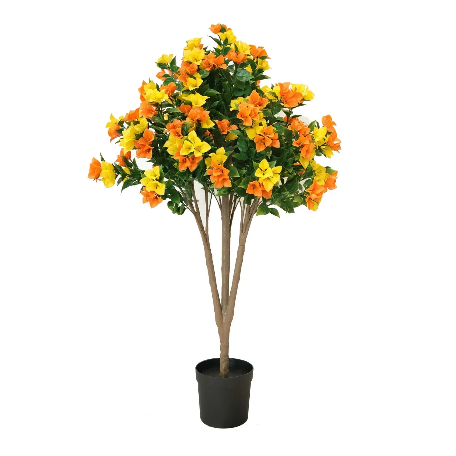 Flowering Yellow and Orange Bougainvillea Tree 120cm UV Resistant - Image 2