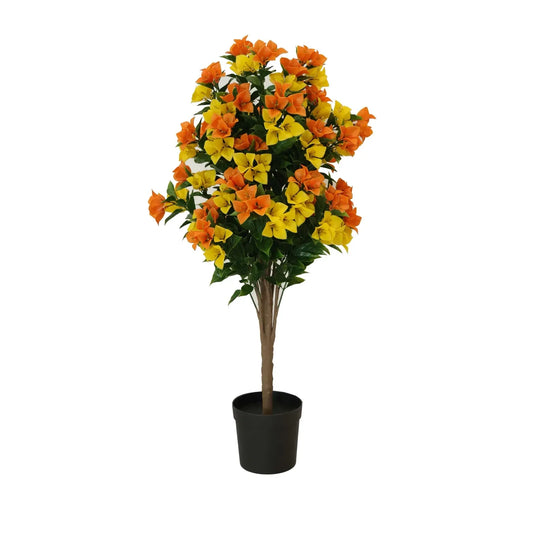 Flowering Yellow and Orange Bougainvillea Tree 90cm UV Resistant - Image 2