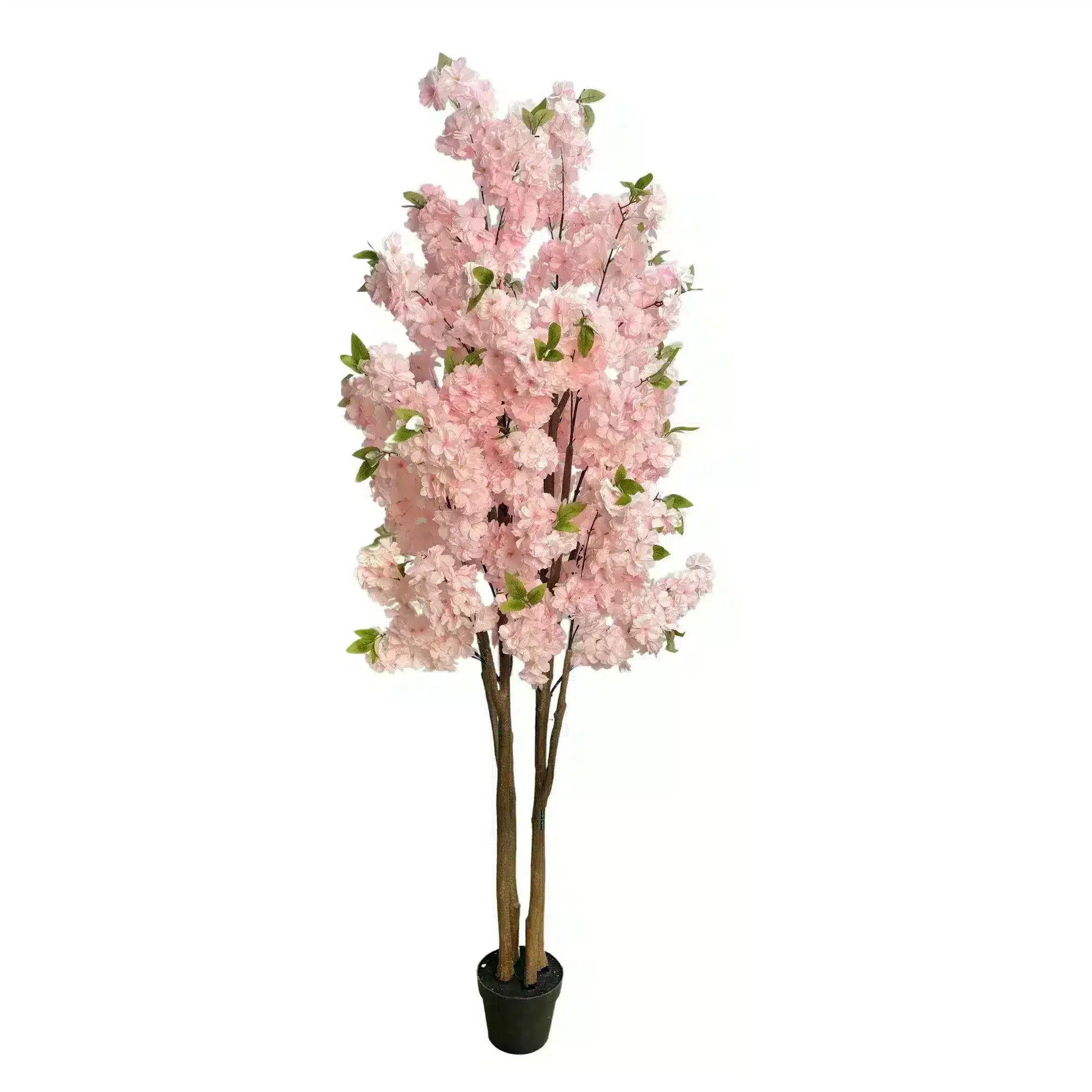 Flowering Artificial 180cm Pink Cherry Blossom Tree - Image 4