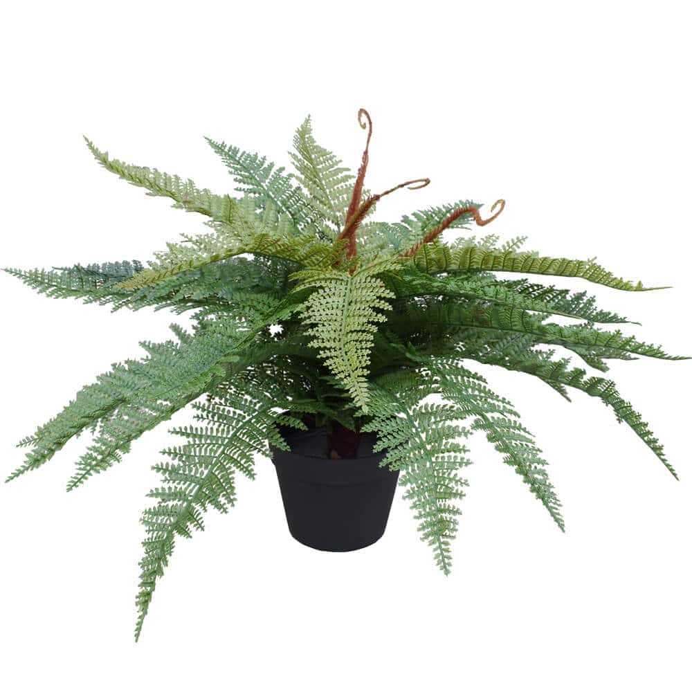 Artificial Potted Fishtail Fern 55cm - Image 3