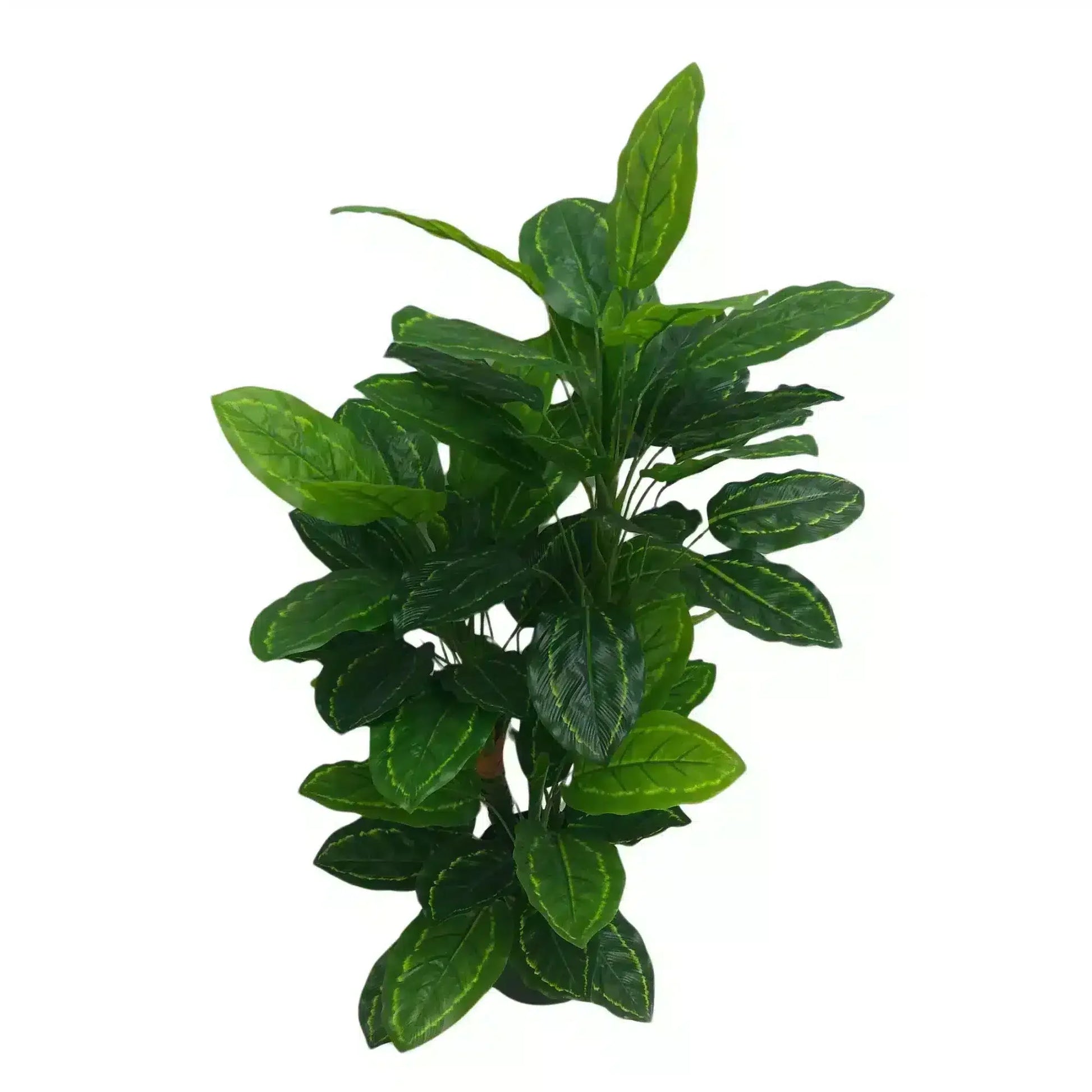 Premium Artificial Cordyline Fructicosa Green / Ti Plant 90cm - Image 2