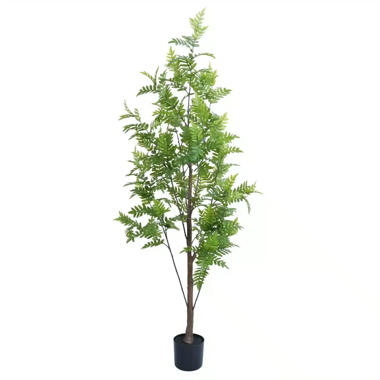 Premium Real Touch Artificial Bracken Palm Tree 180cm - Image 2