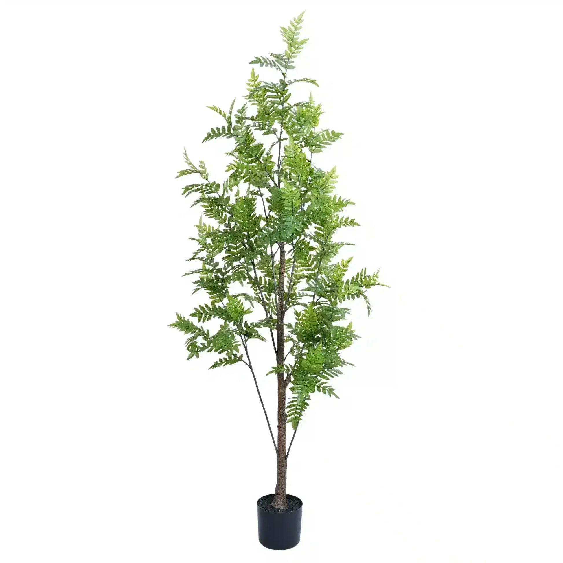 Premium Real Touch Artificial Bracken Palm Tree 180cm - Image 2