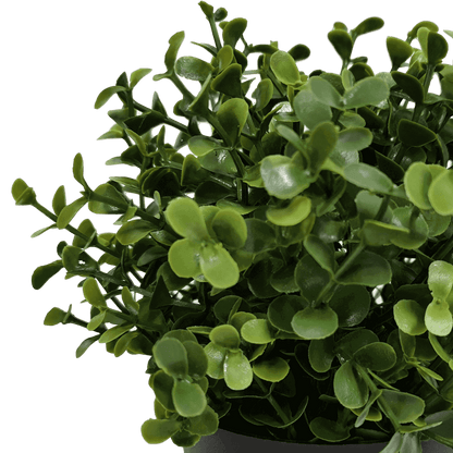 Small Potted Artificial Buxus Plant UV Resistant 20cm - Image 3