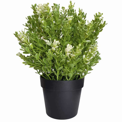 Small Potted Artificial White Jade Plant UV Resistant 20cm - Image 4
