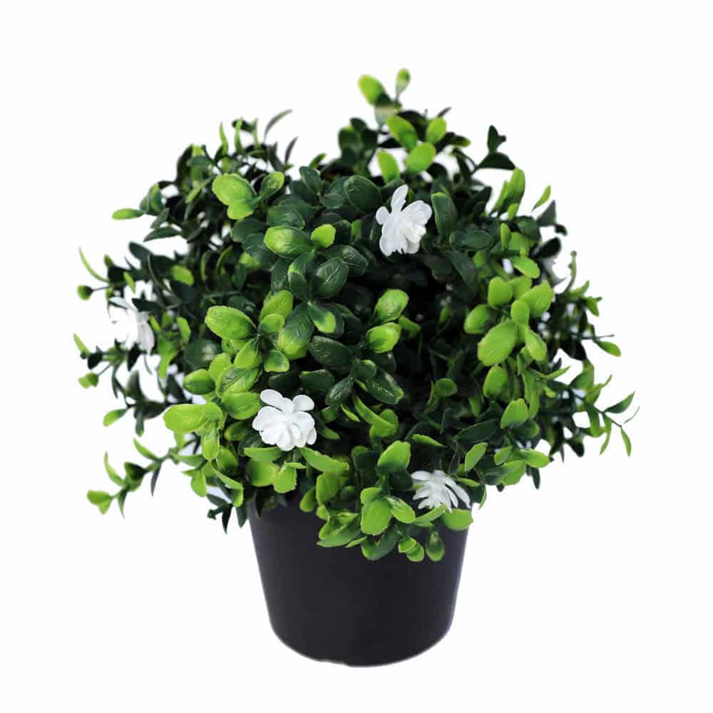 Small Potted Artificial Flowering Boxwood Plant UV Resistant 20cm - Image 3