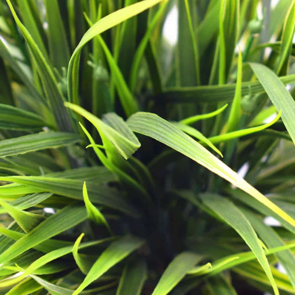 Artificial Ornamental Potted Dense Green Grass UV Resistant 38cm - Image 3